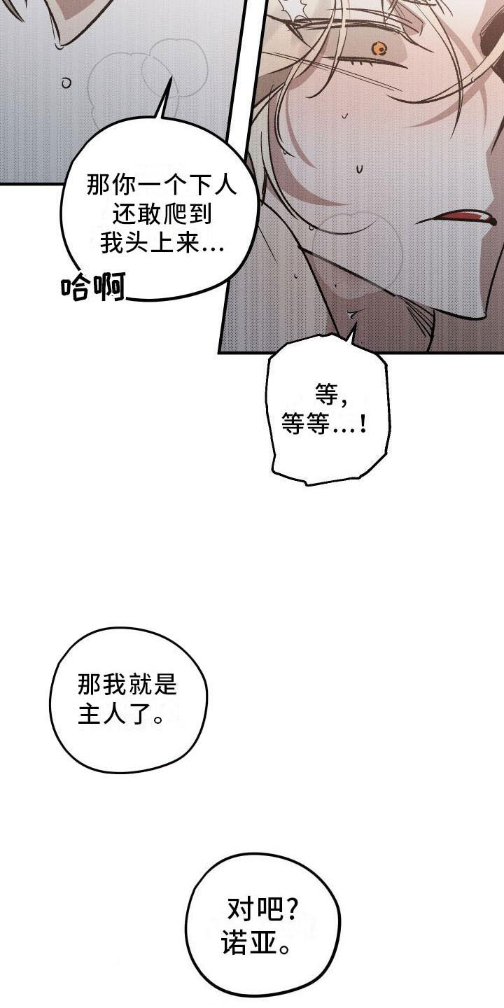偷心花园漫画,第9章：薰衣草花园：主人4图