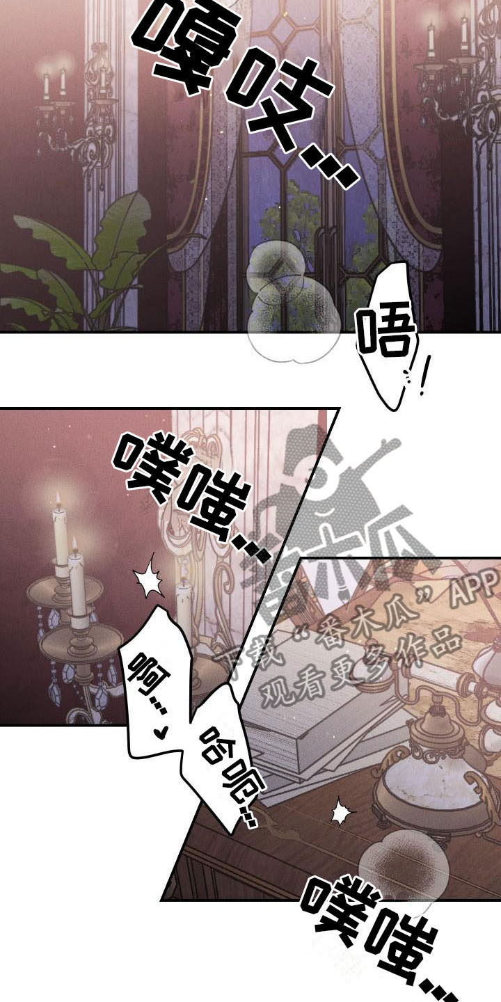 偷心花园漫画,第12章：薰衣草花园：喜欢3图