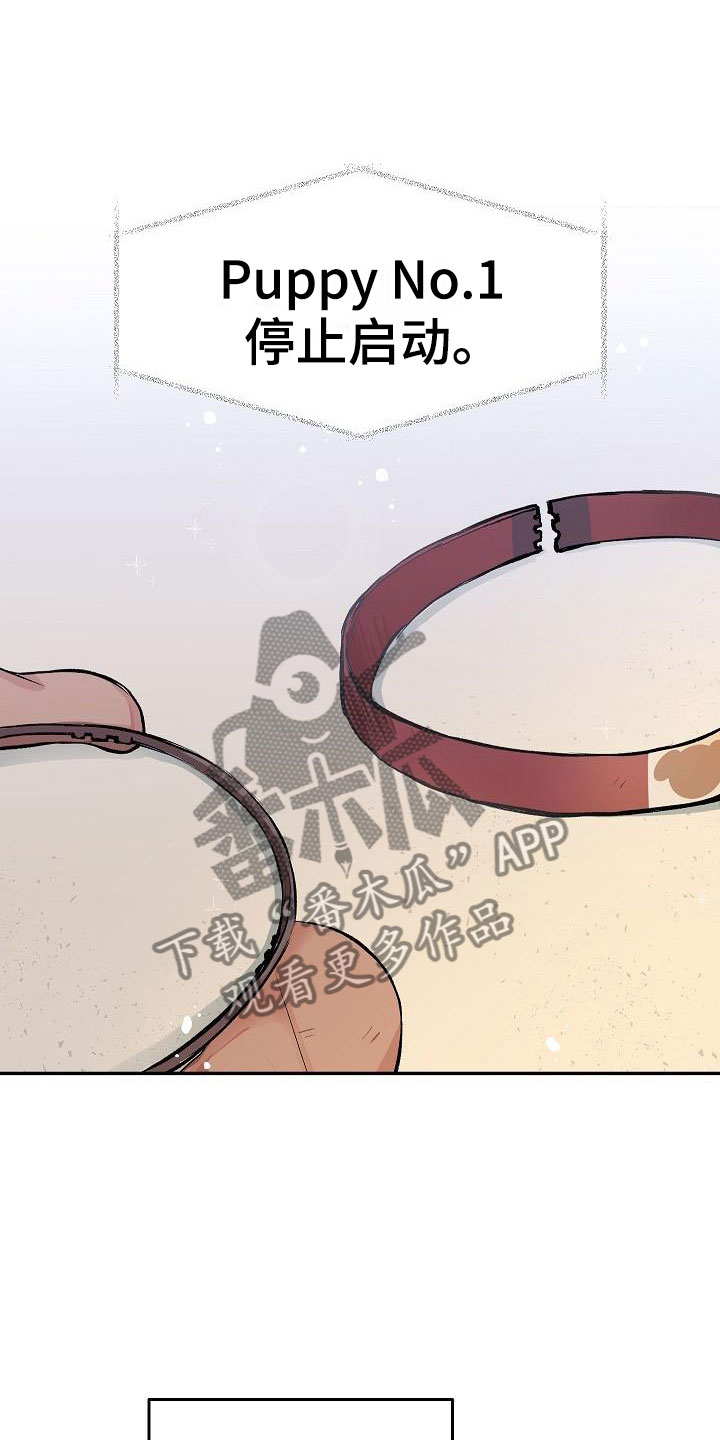 偷心花园漫画,第29章：我的狗男孩：真心3图