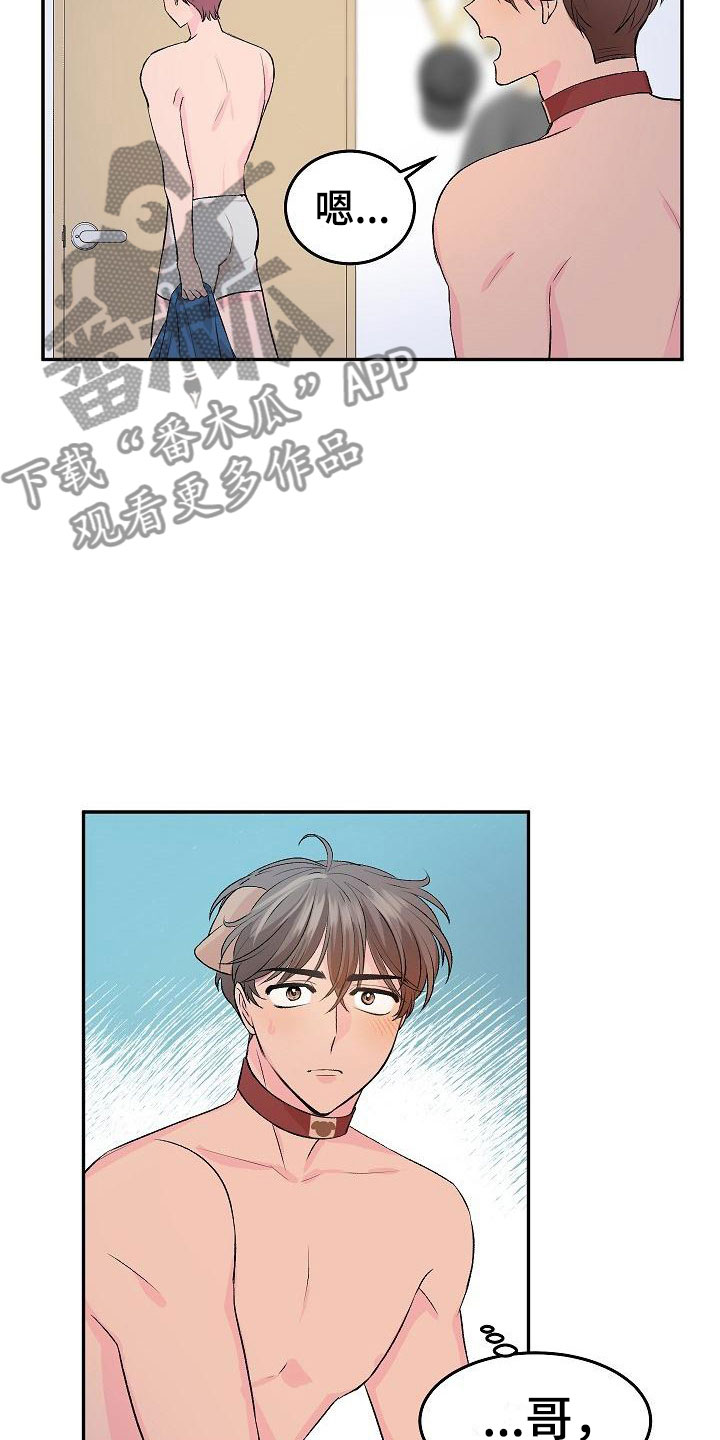 偷心花园漫画,第24章：我的狗男孩：冷漠2图