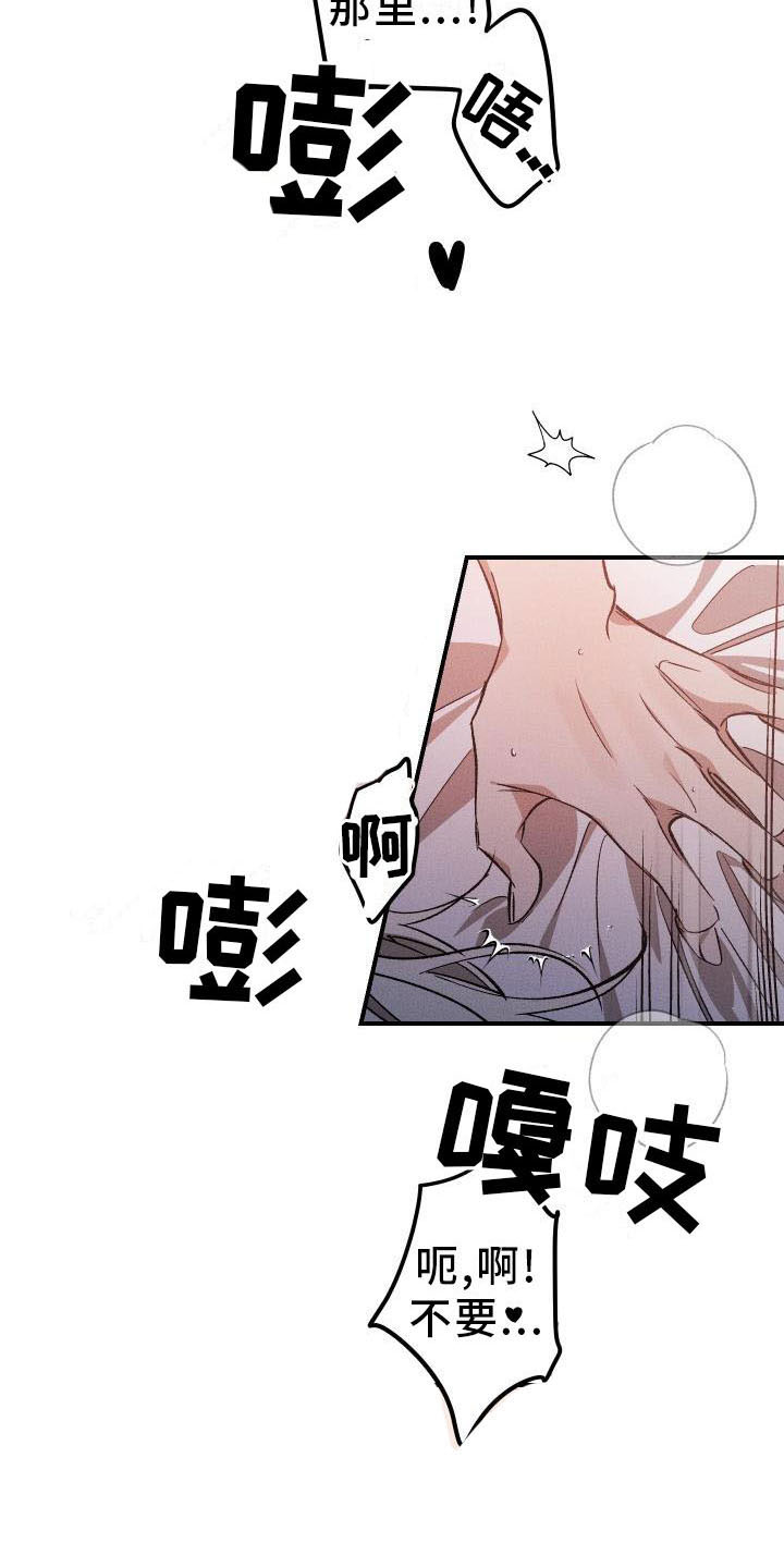 偷心花园漫画,第12章：薰衣草花园：喜欢2图