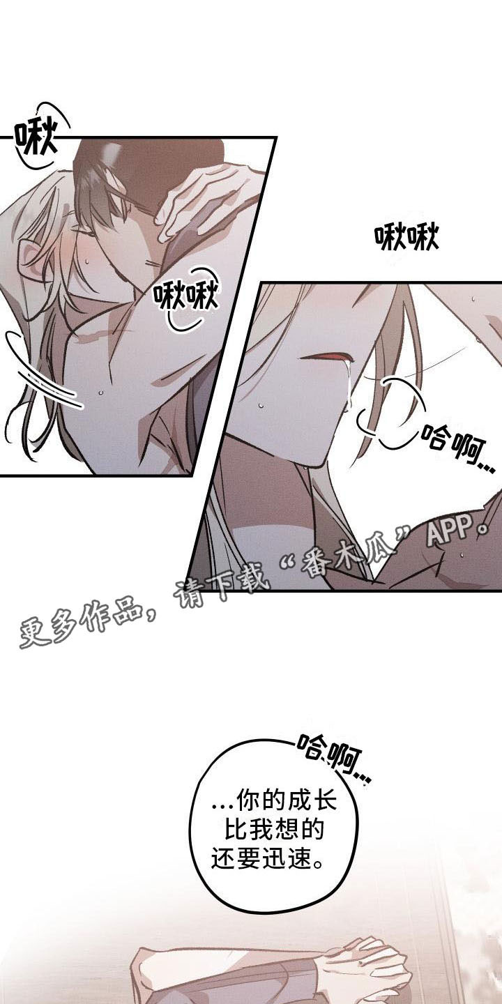 偷心花园漫画,第11章：薰衣草花园：挽留1图