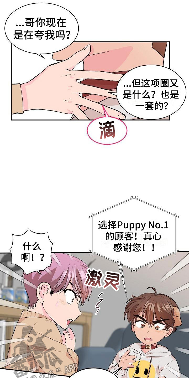 偷心花园漫画,第21章：我的狗男孩：失控2图