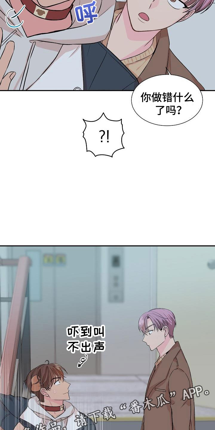 偷心花园漫画,第20章：我的狗男孩：产品试用5图