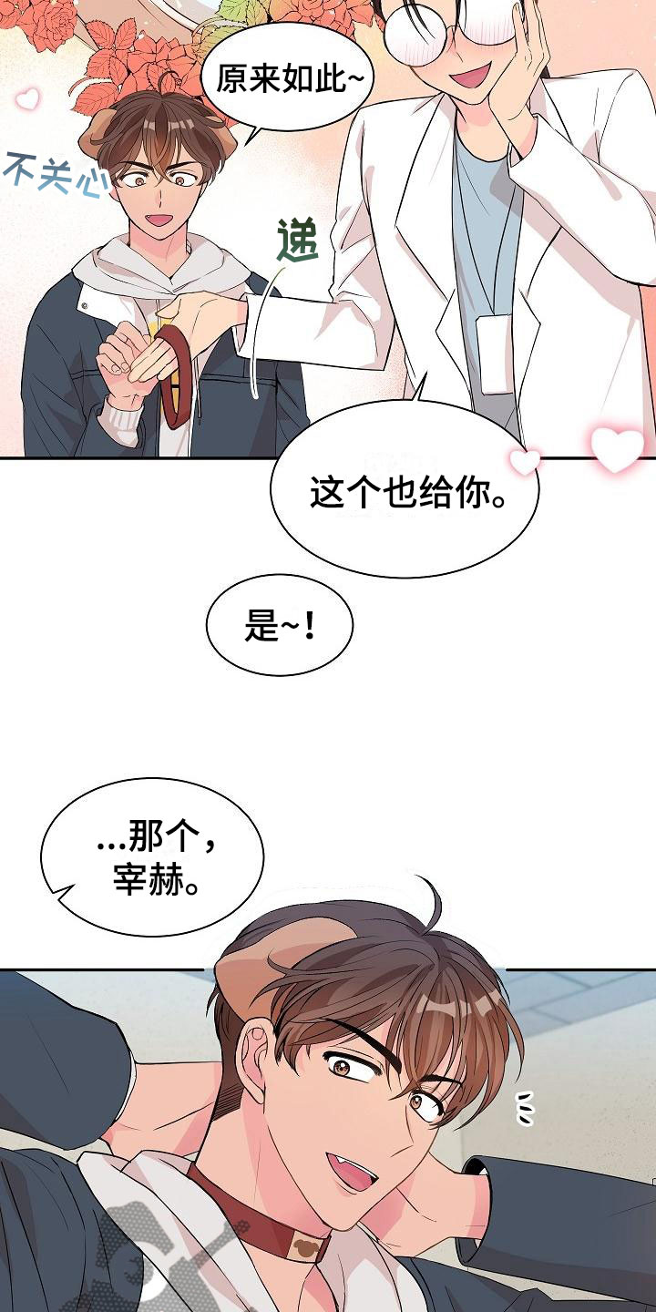 偷心花园漫画,第20章：我的狗男孩：产品试用2图
