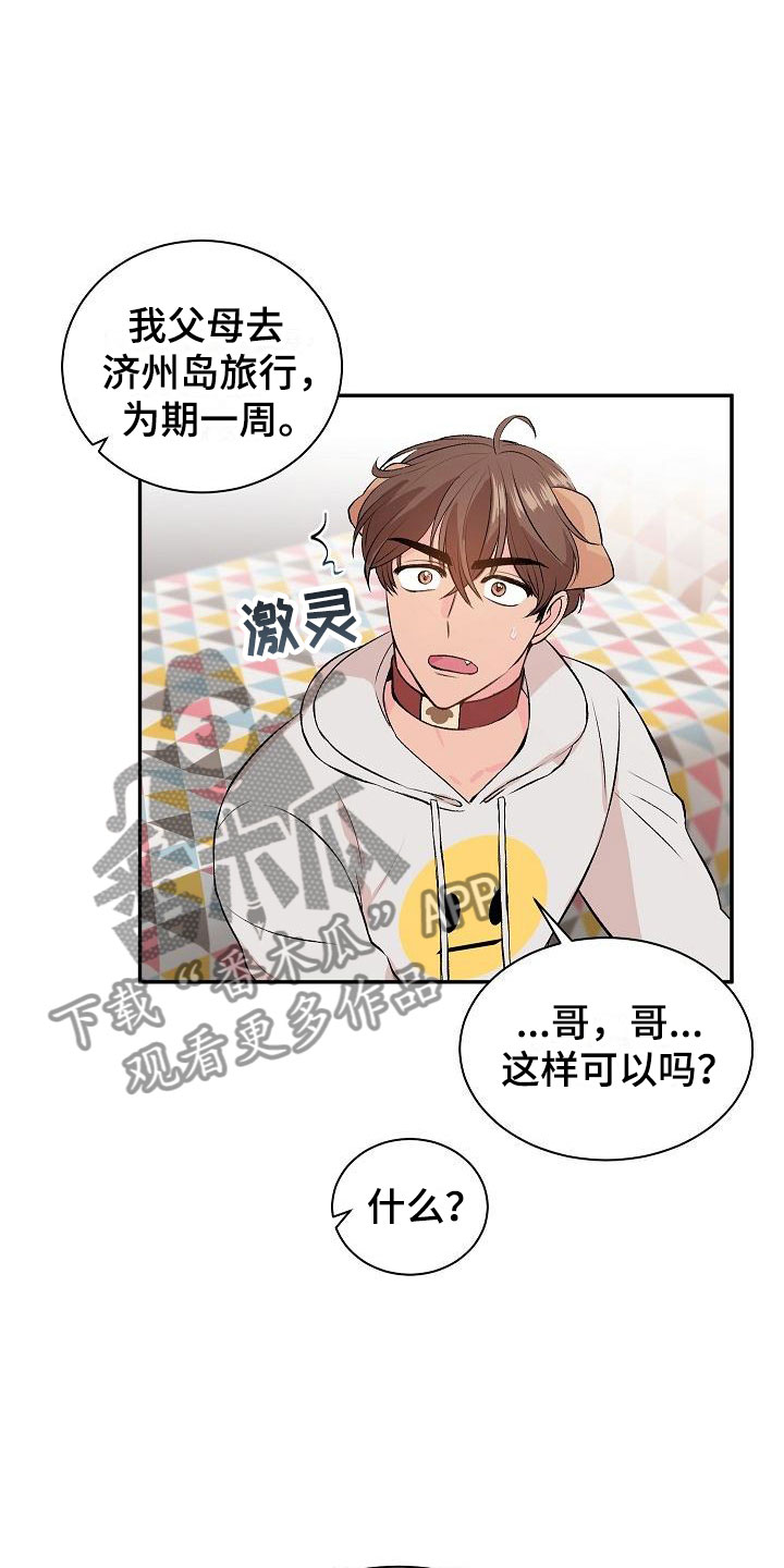 偷心花园漫画,第21章：我的狗男孩：失控3图