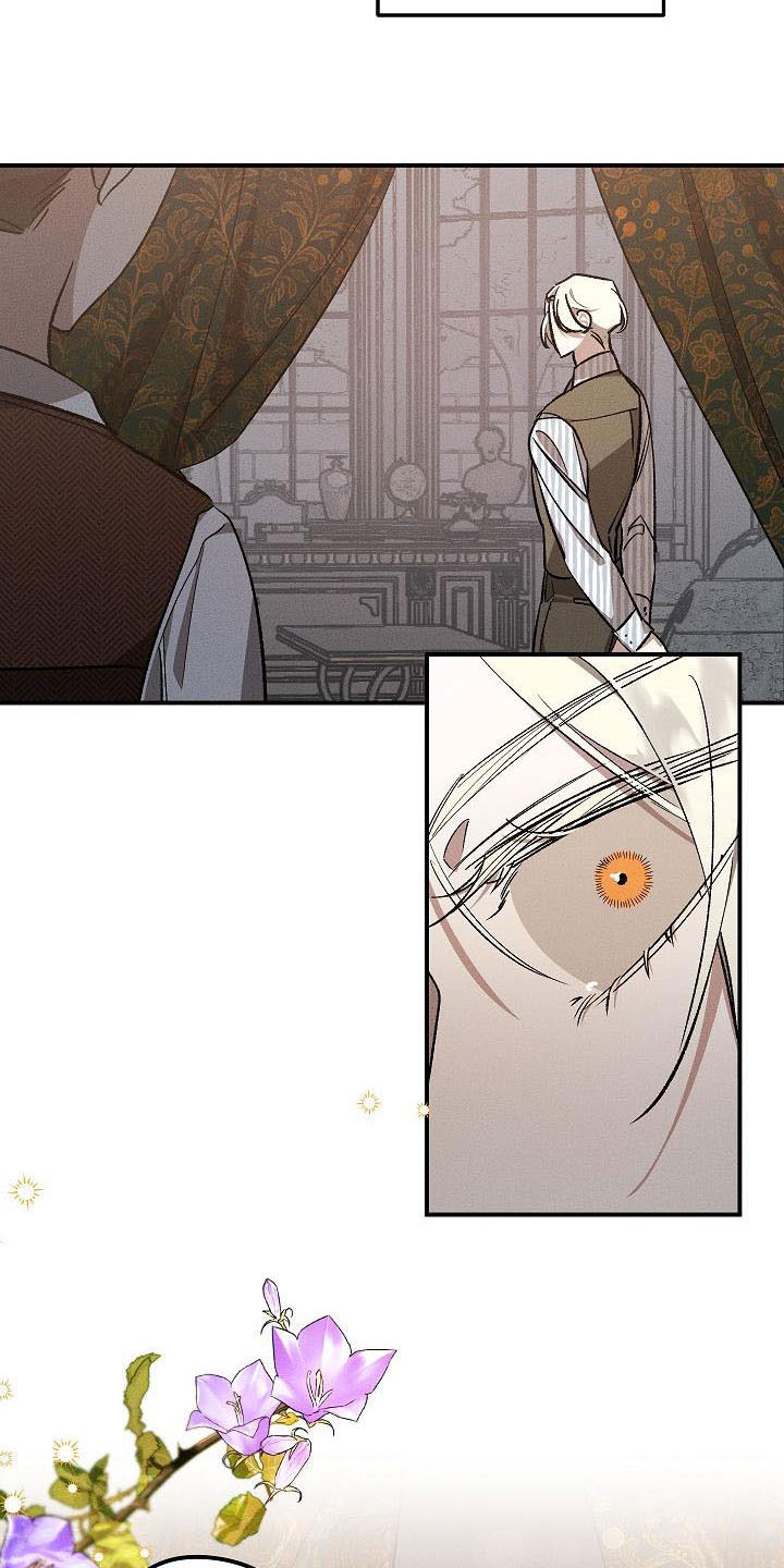 偷心花园漫画,第4章：薰衣草花园：盗窃3图