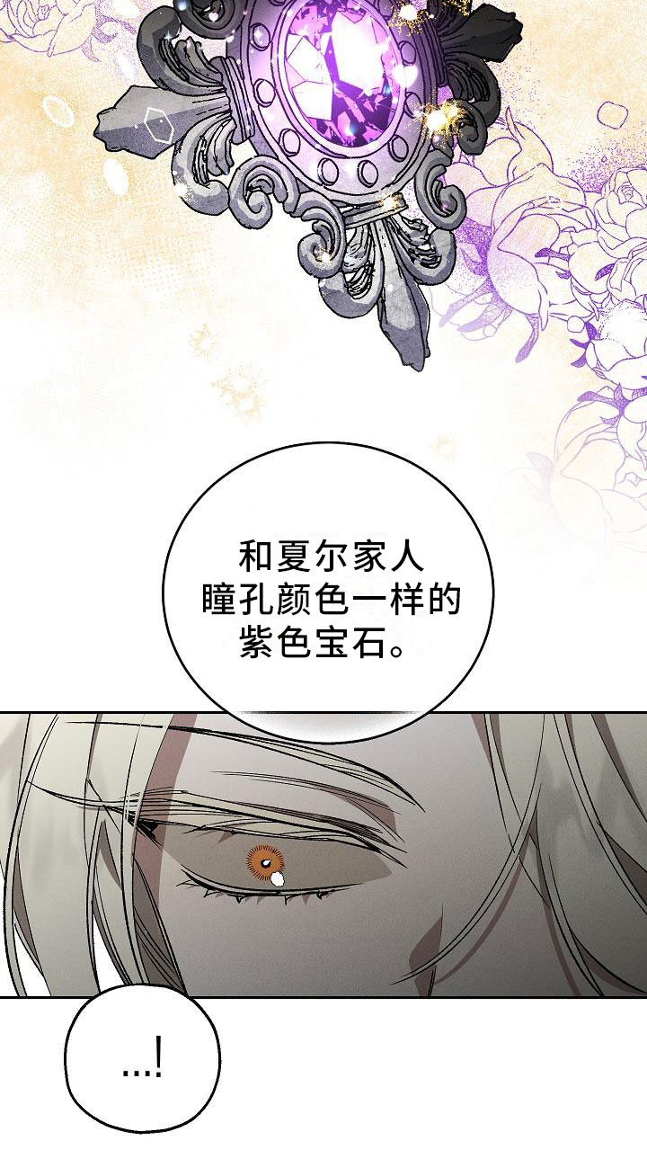 偷心花园漫画,第1章：薰衣草花园：紫宝石4图