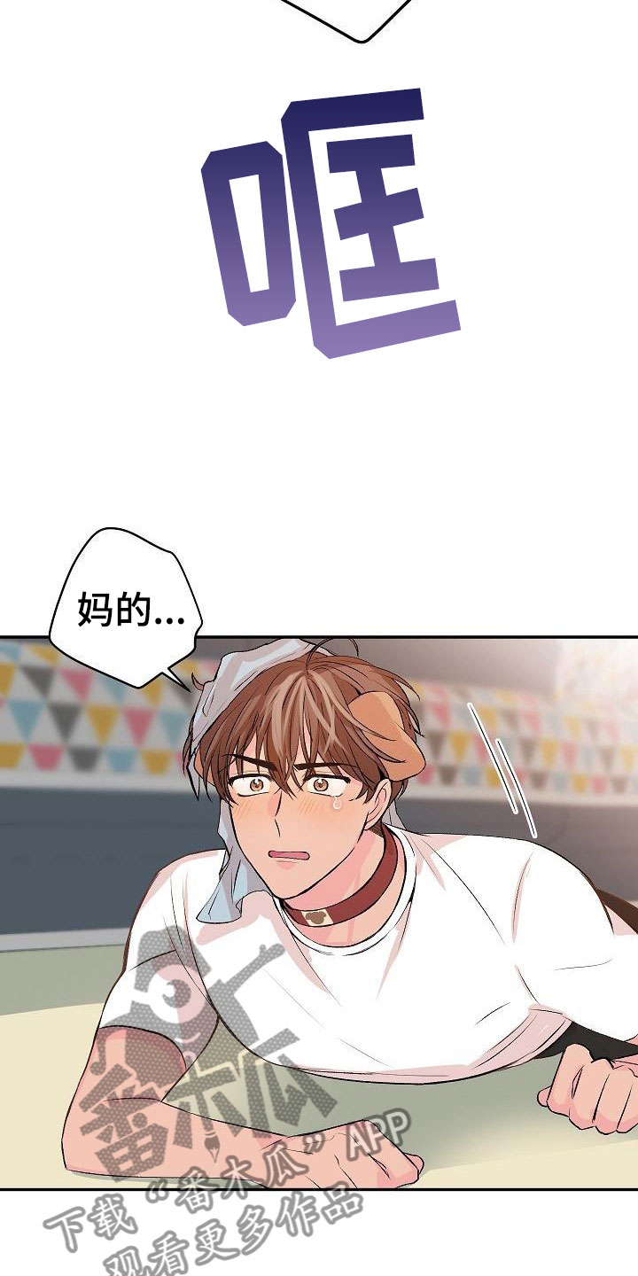 偷心花园漫画,第25章：我的狗男孩：男朋友1图