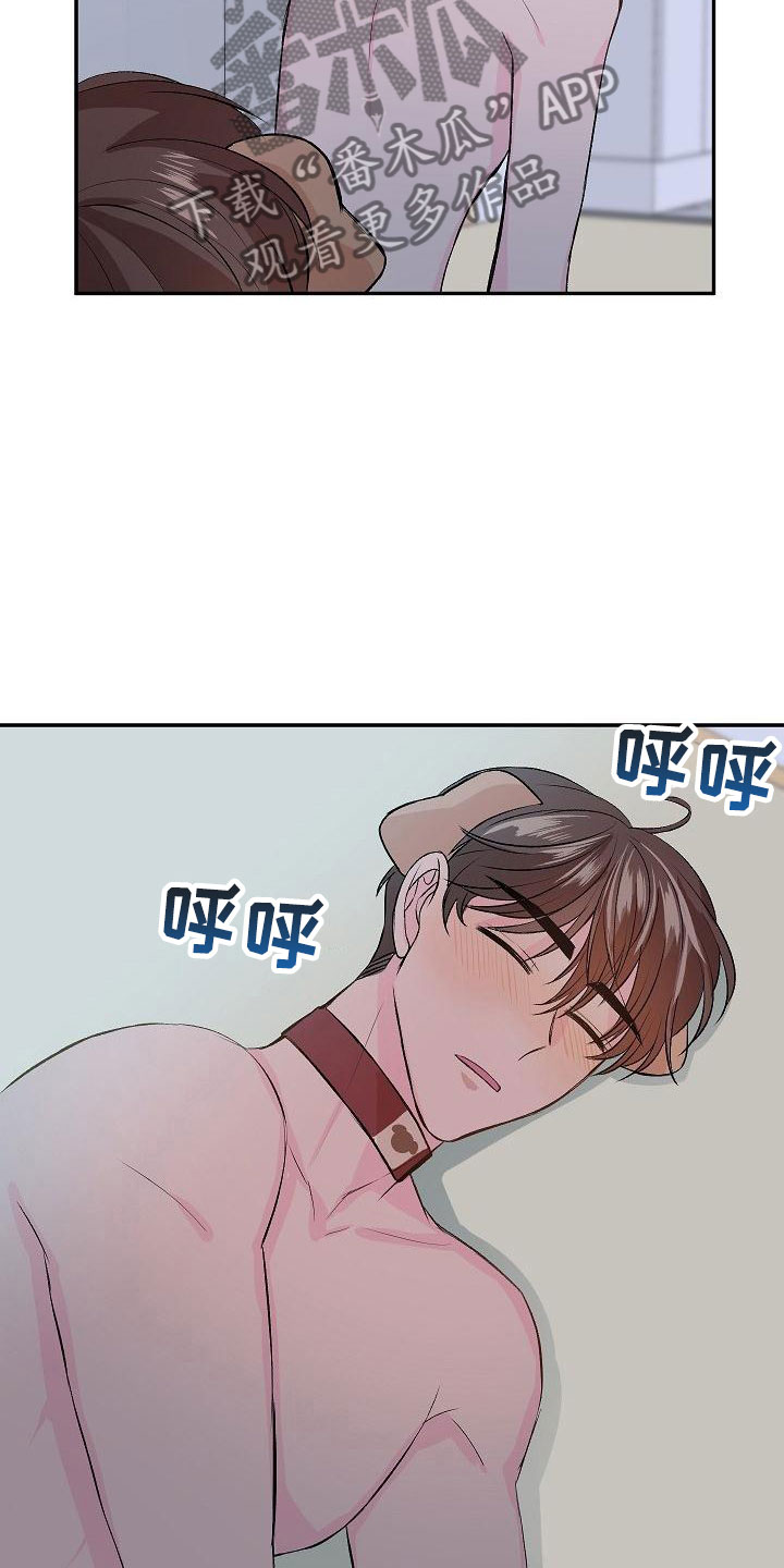 偷心花园漫画,第23章：我的狗男孩：使用说明1图