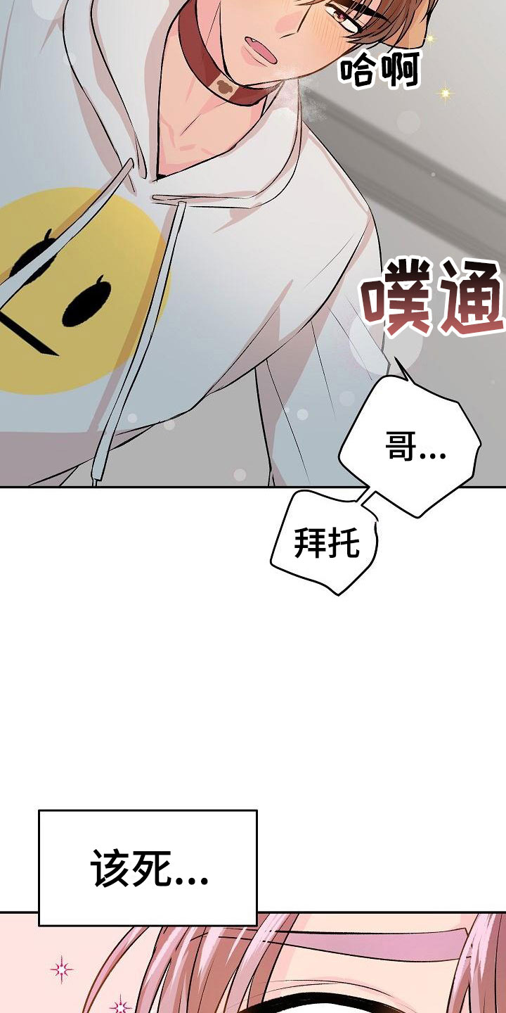 偷心花园漫画,第22章：我的狗男孩：体验5图