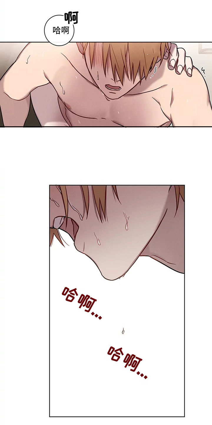 偷心花园漫画,第52章：三角恋人：很有关系2图