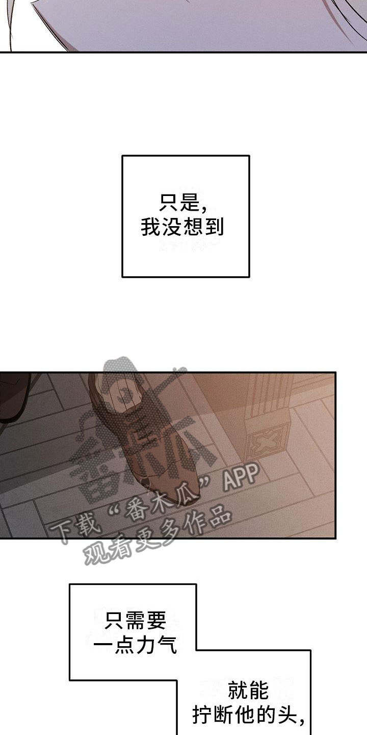 偷心花园漫画,第4章：薰衣草花园：盗窃2图