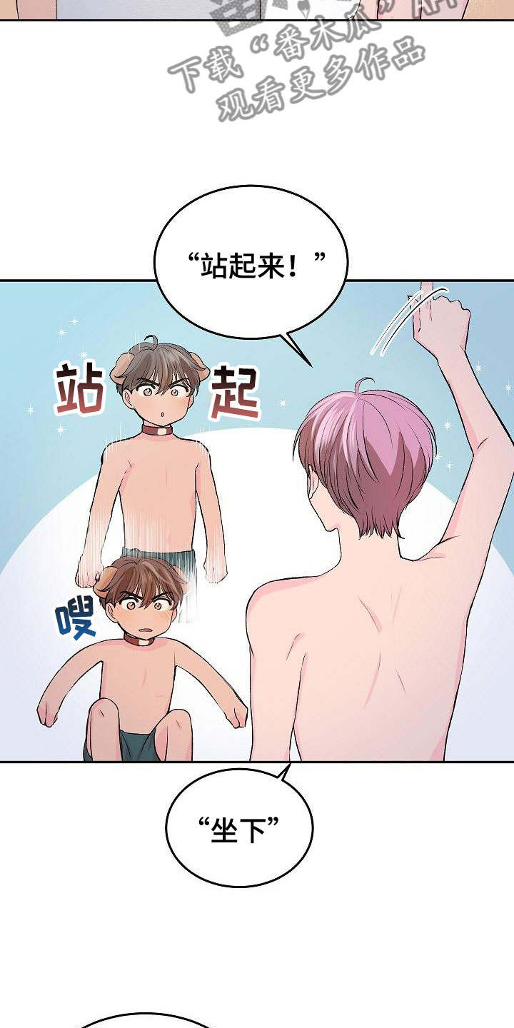 偷心花园漫画,第24章：我的狗男孩：冷漠5图