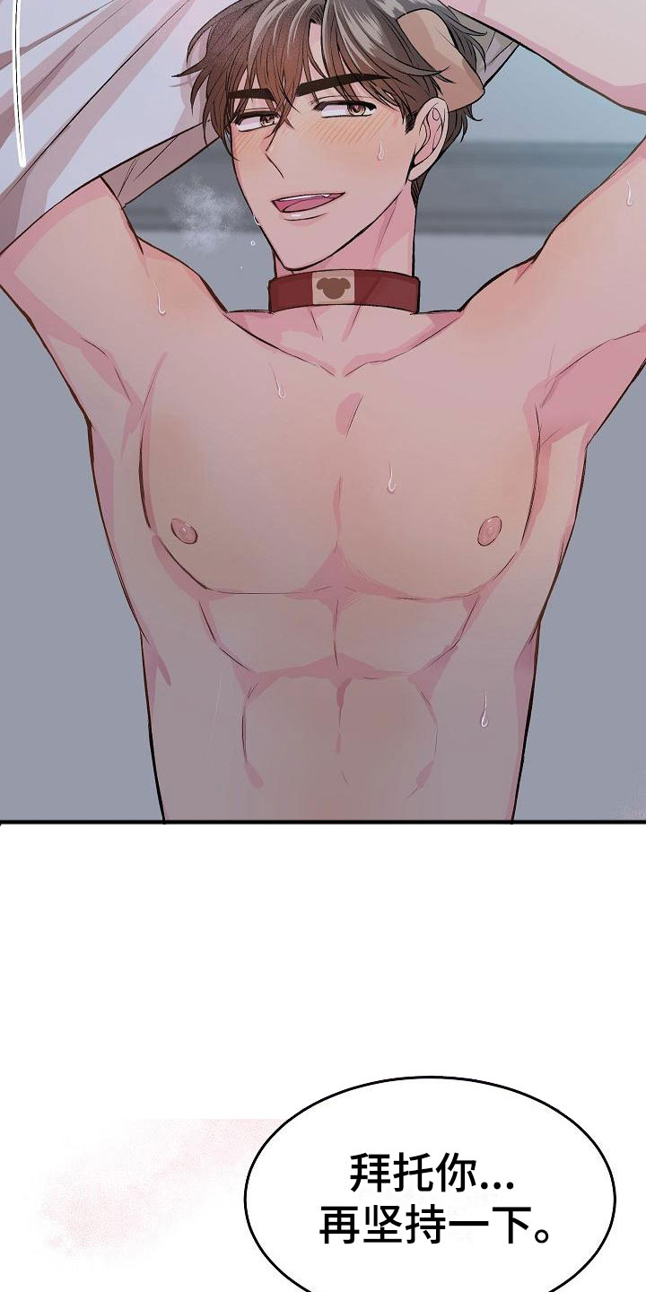 偷心花园漫画,第23章：我的狗男孩：使用说明2图