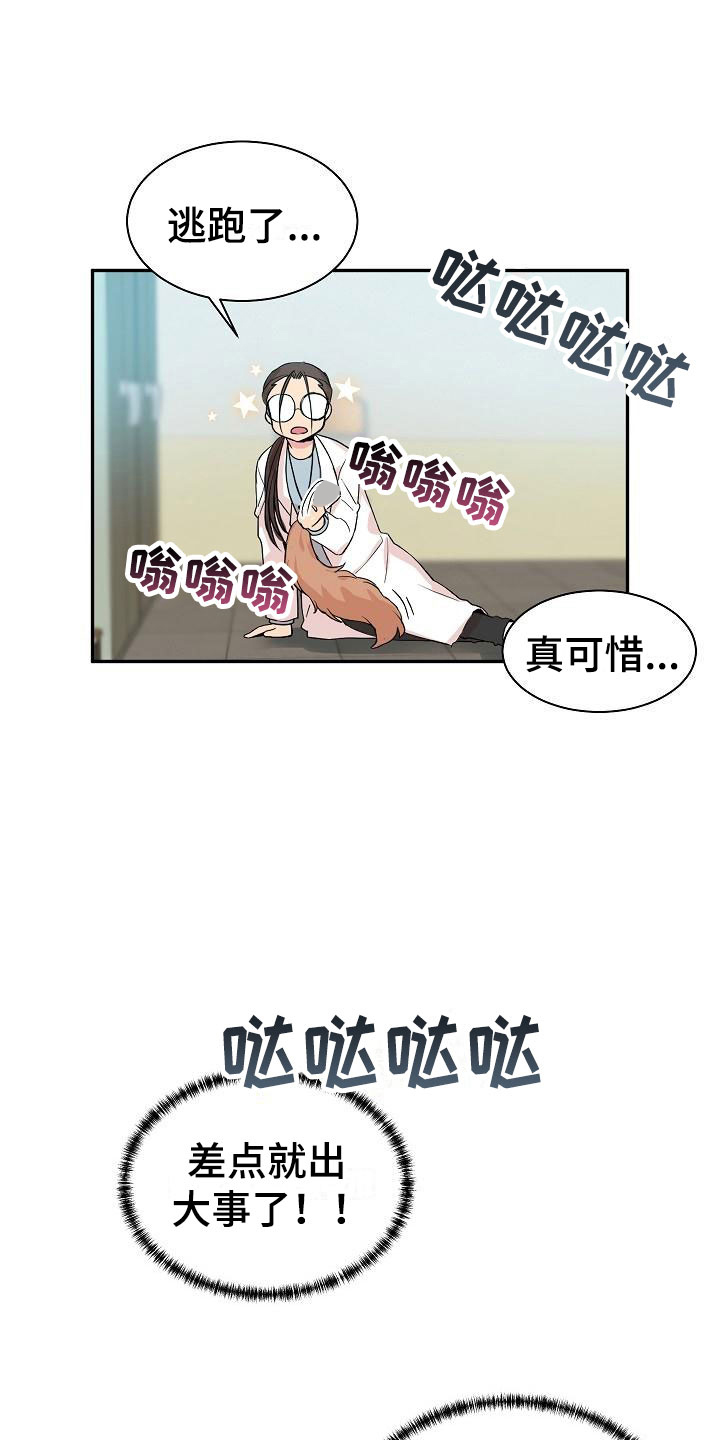 偷心花园漫画,第20章：我的狗男孩：产品试用2图
