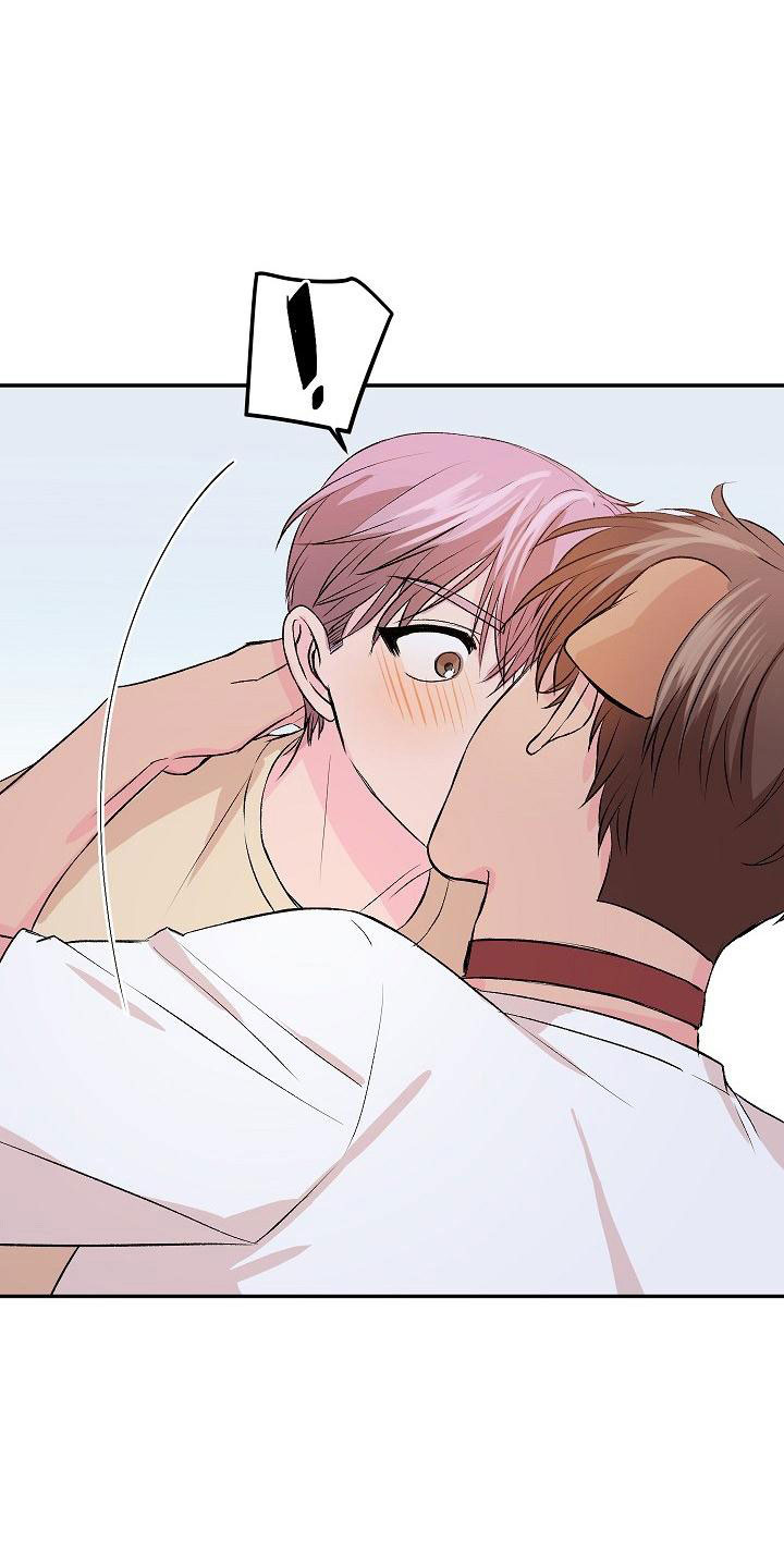 偷心花园漫画,第27章：我的狗男孩：逃跑5图