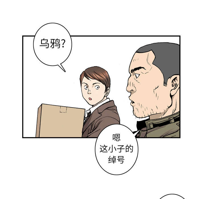 超感追凶漫画,第5章：乌鸦4图