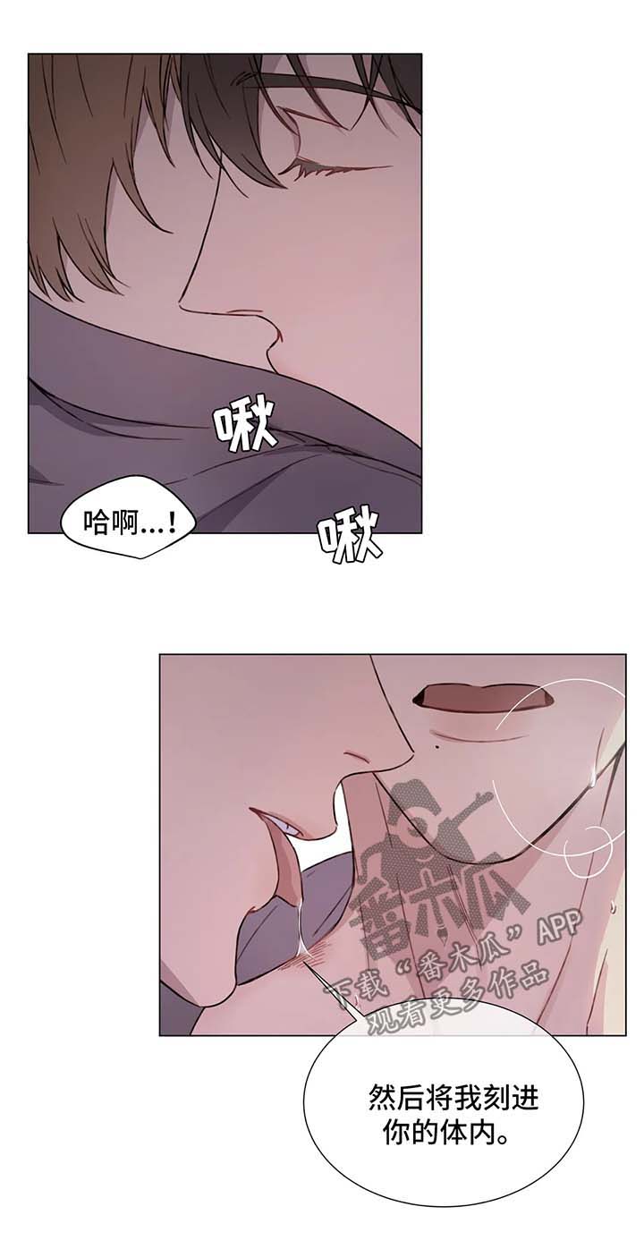 我的全部漫画,第52章：噩耗1图