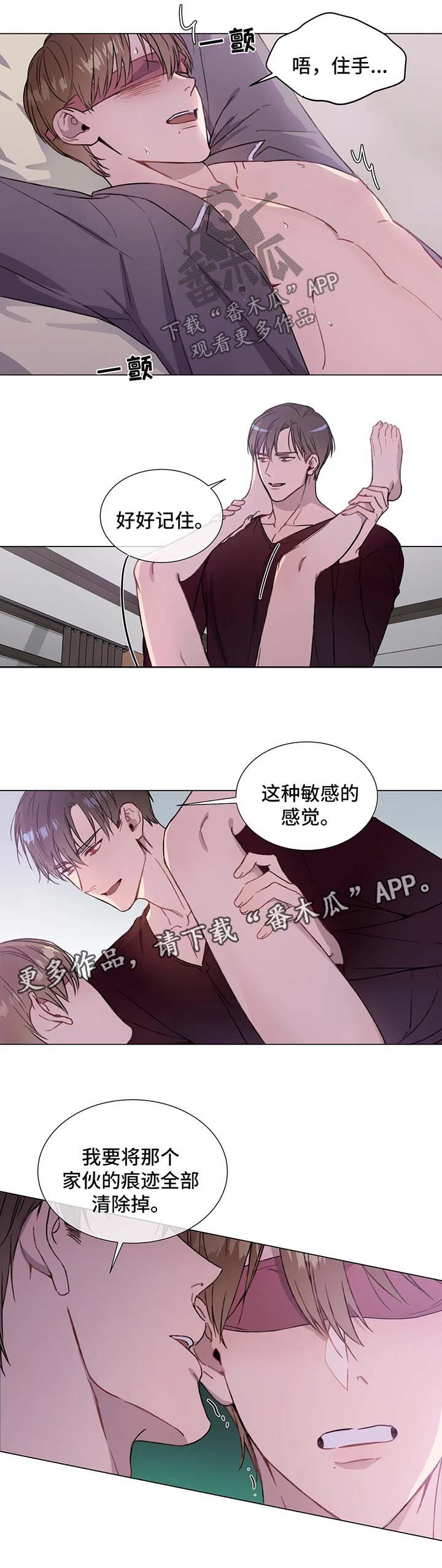 我的全部漫画,第52章：噩耗5图