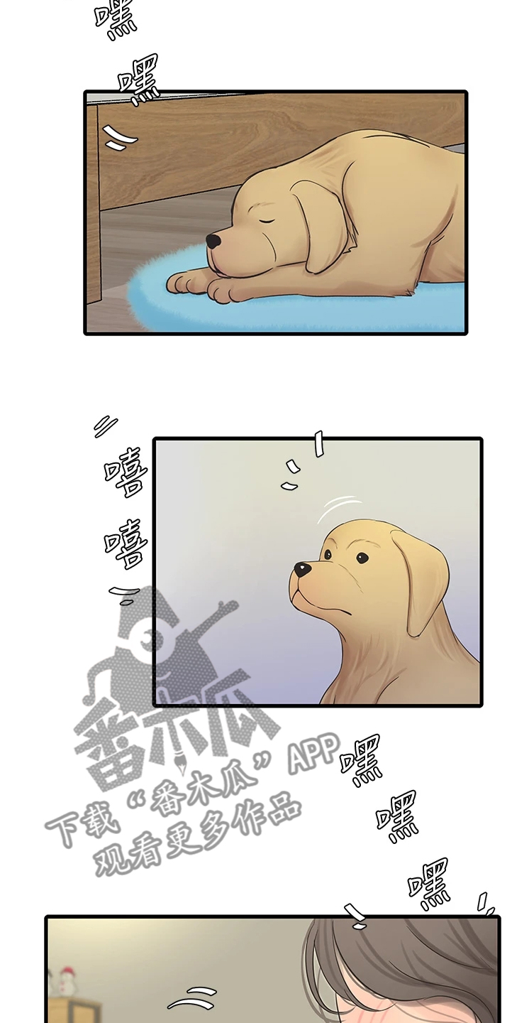 特别照顾漫画,第128章：那你怎么办5图