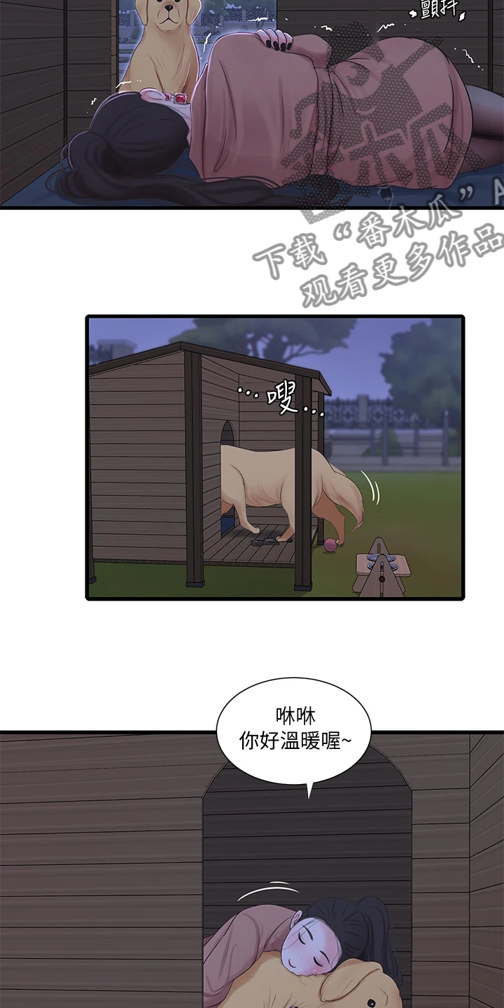 特别照顾漫画,第134章：可怜的狗子2图