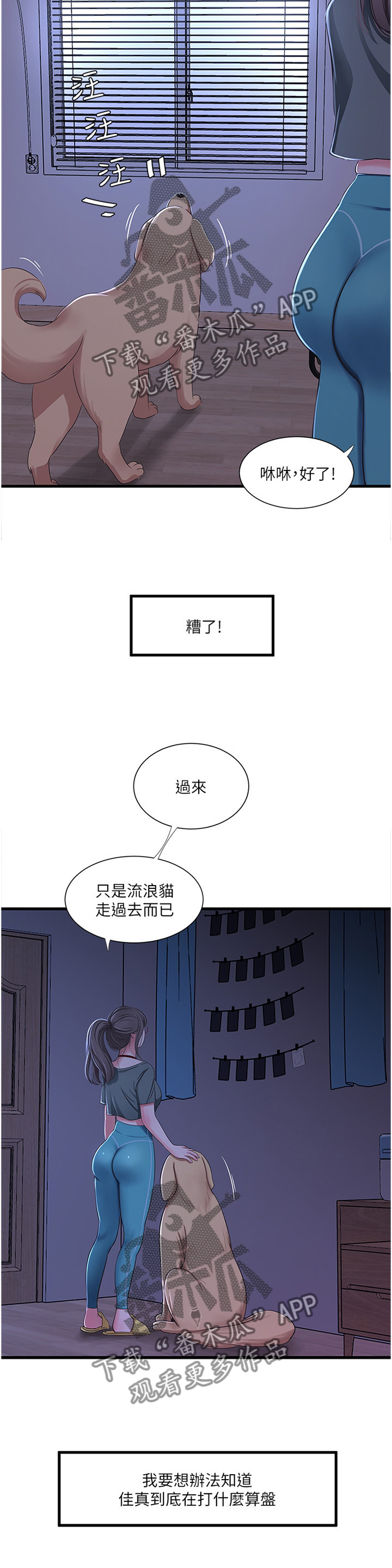 特别照顾宝宝漫画,第66章：每个人的秘密3图