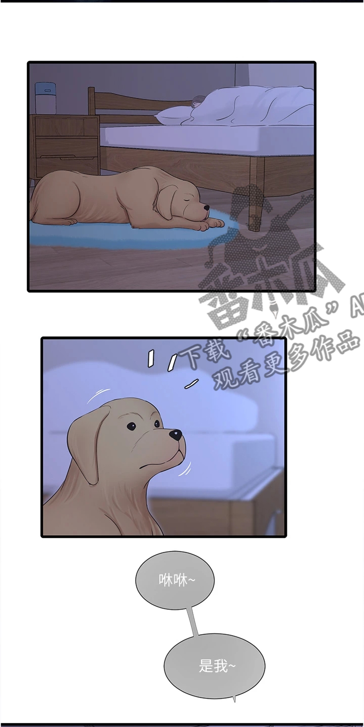 特别照顾漫画,第128章：那你怎么办4图