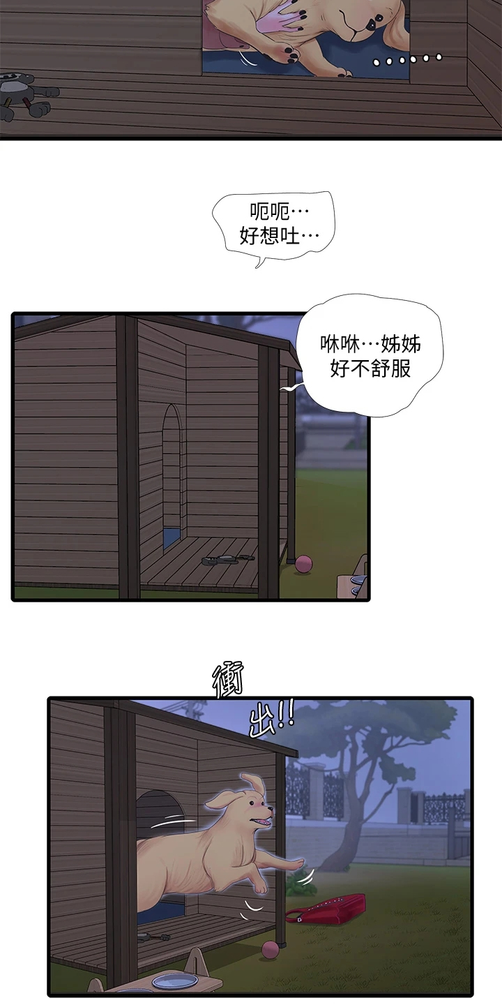 特别照顾漫画,第134章：可怜的狗子3图