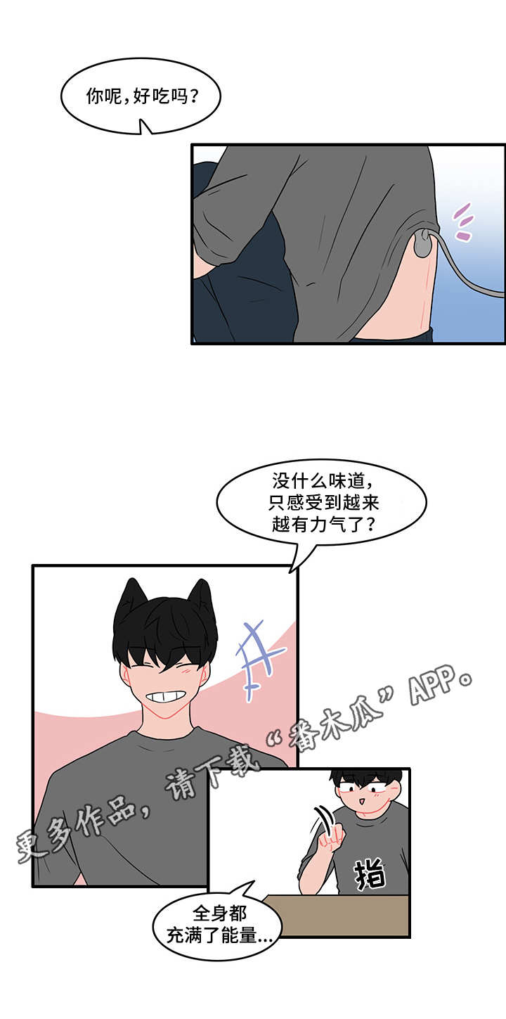 人形玩偶钩织线材推荐漫画,第47章：扰乱生活2图