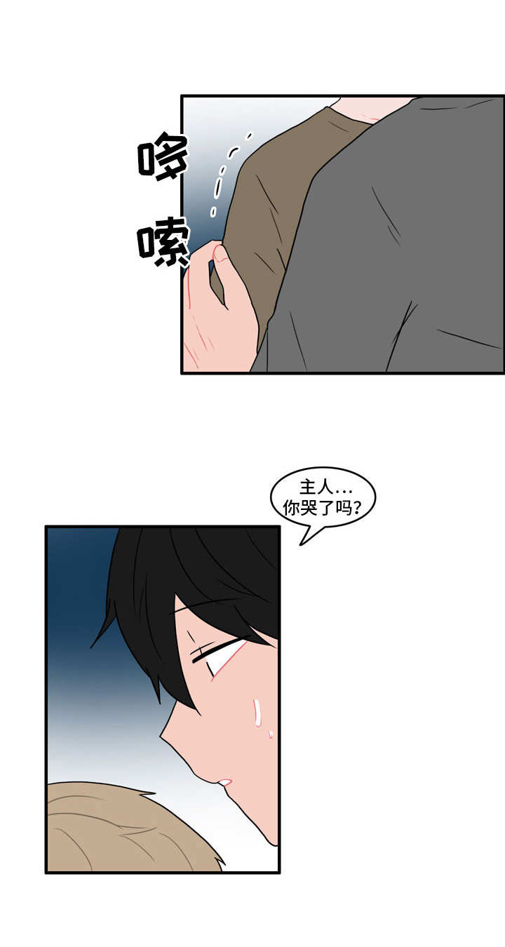 人形玩偶常见类型漫画,第42章：安慰4图