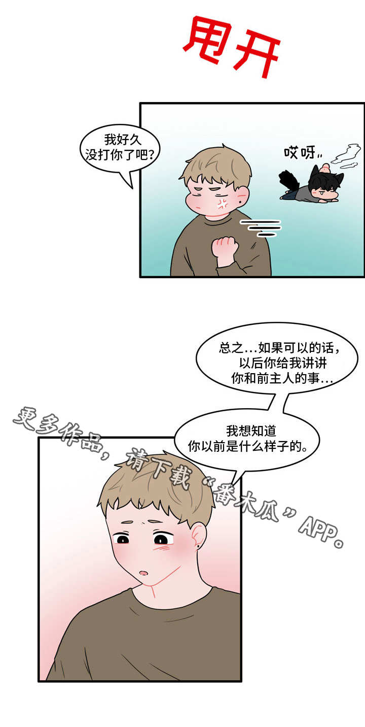 人形玩偶头部图解漫画,第43章：住手2图