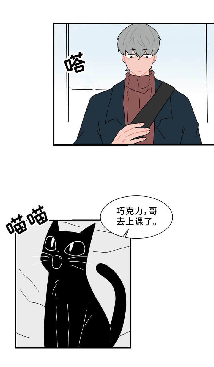 人形玩物漫画,第56章：真相5图