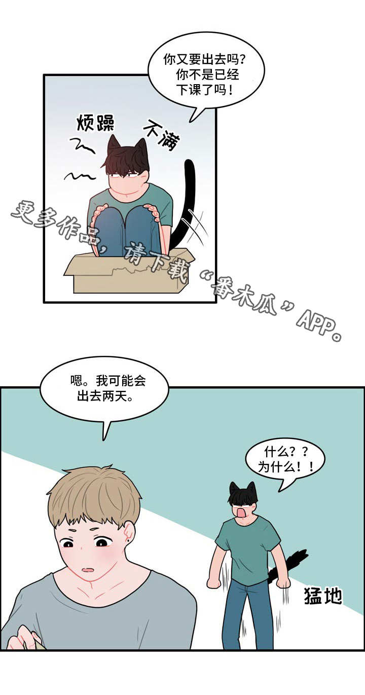 人形玩具模型设计漫画,第11章：野营1图