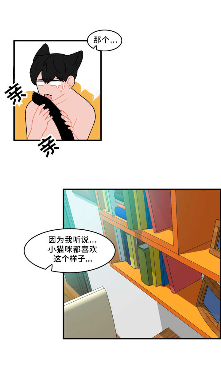 人形玩偶家居搭配漫画,第53章：计划3图