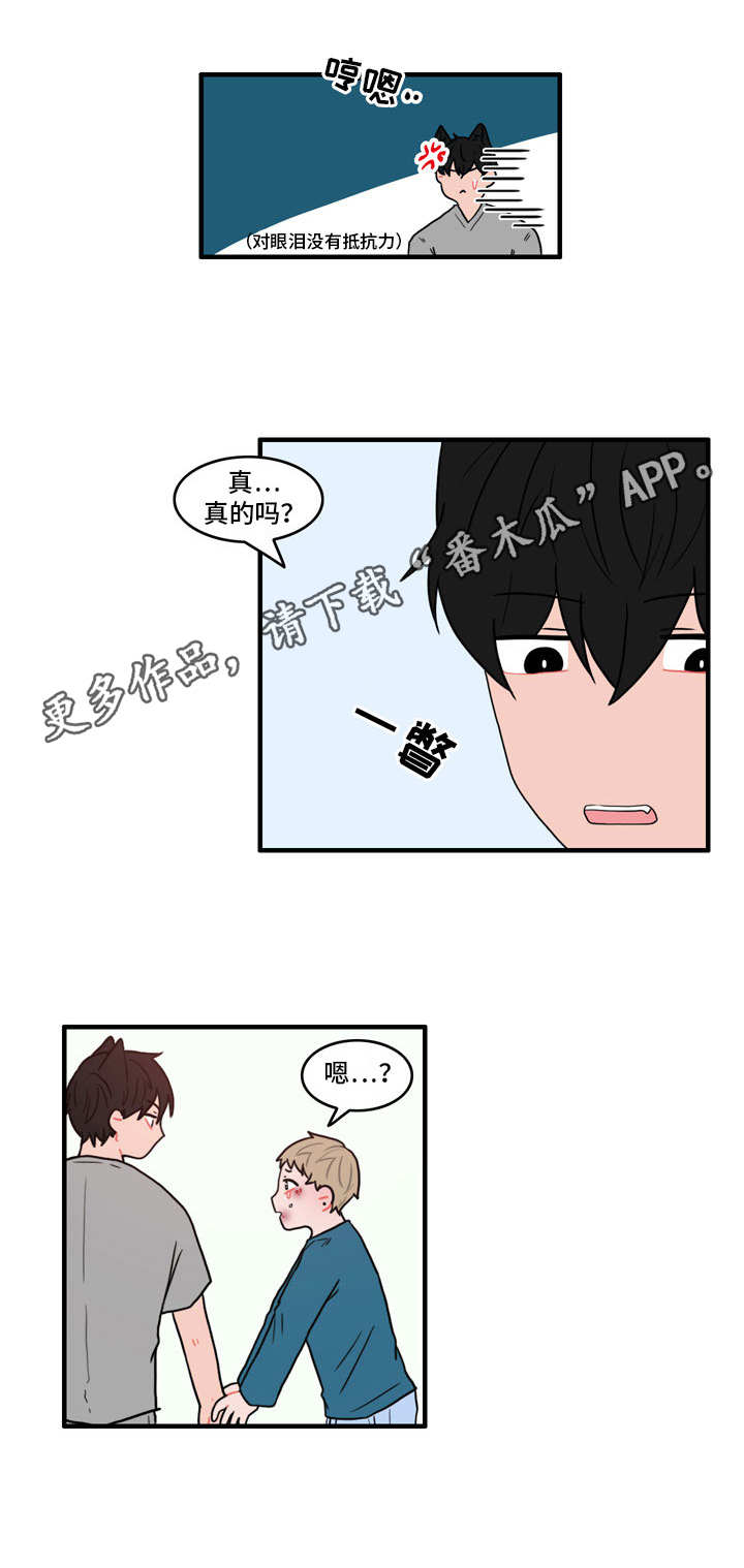 人形玩偶放在柜子里漫画,第28章：冰释前嫌2图