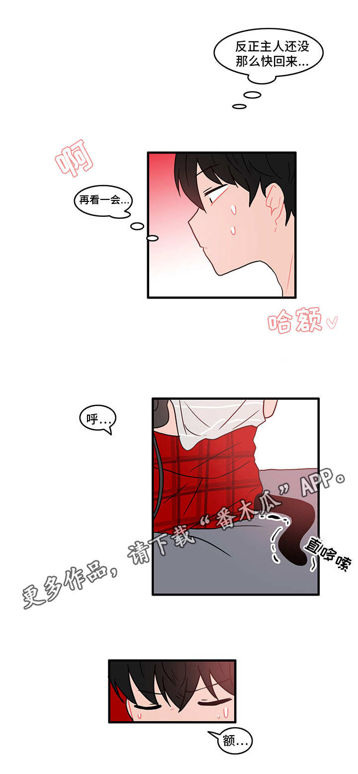 人形玩物漫画,第16章：疑心5图