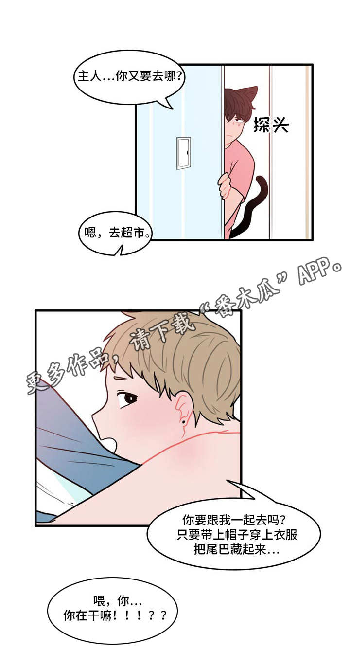人形玩物漫画,第5章：春植5图