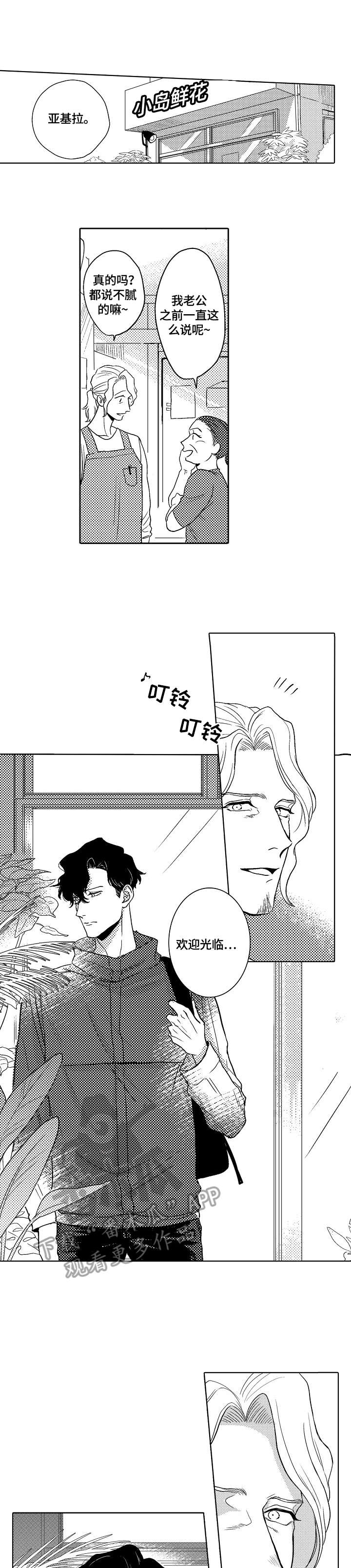 小岛鲜花店漫画,第2章：推荐4图