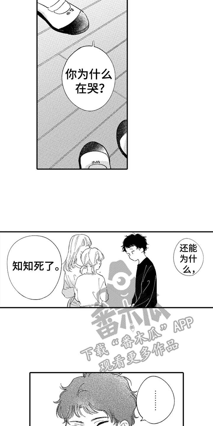 为你疯狂漫画,第15章：无法理解1图