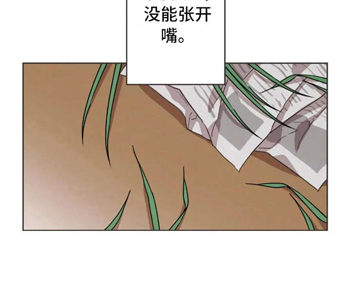 三色绘恋迟菓漫画,第38章：没有解释3图