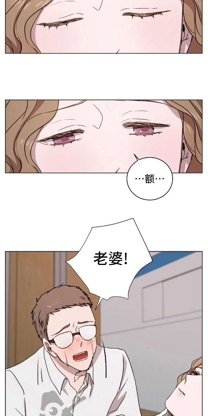 三色绘恋迟菓漫画,第22章：失去孩子3图