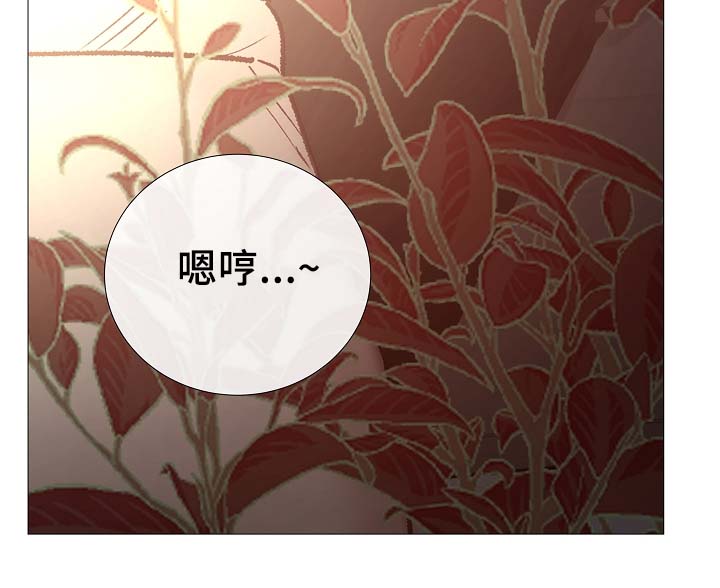 冰凉的居所漫画,第87章：简直糟糕透了2图