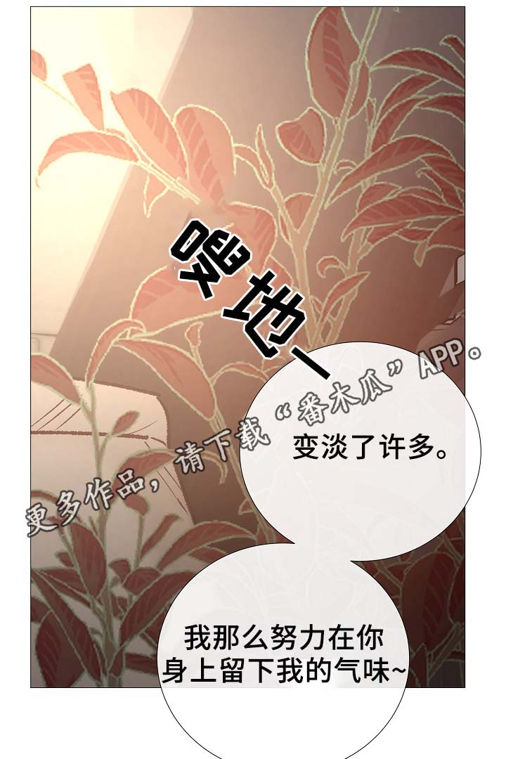 冰凉的泪dj完整版漫画,第87章：简直糟糕透了5图