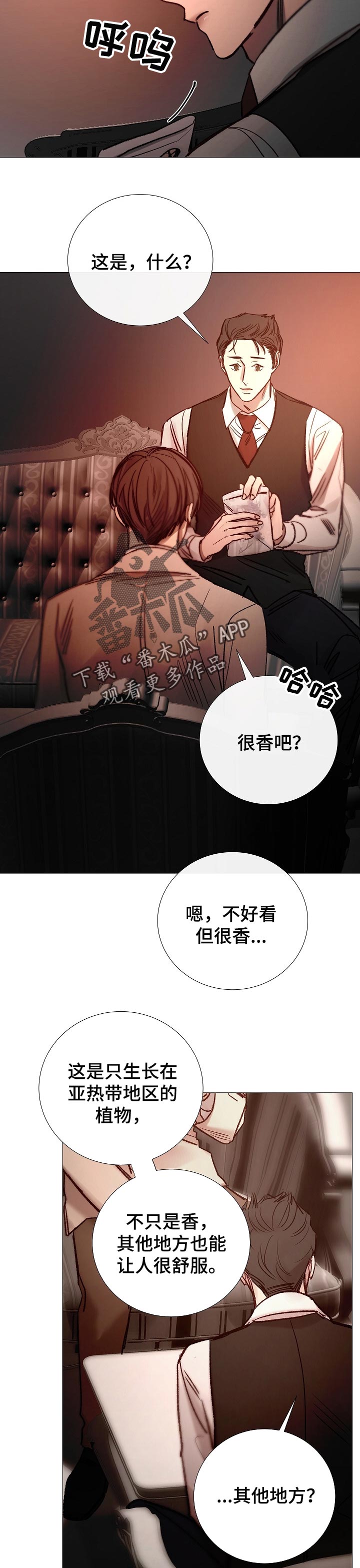 冰凉的成语漫画,第153章：确定关系2图