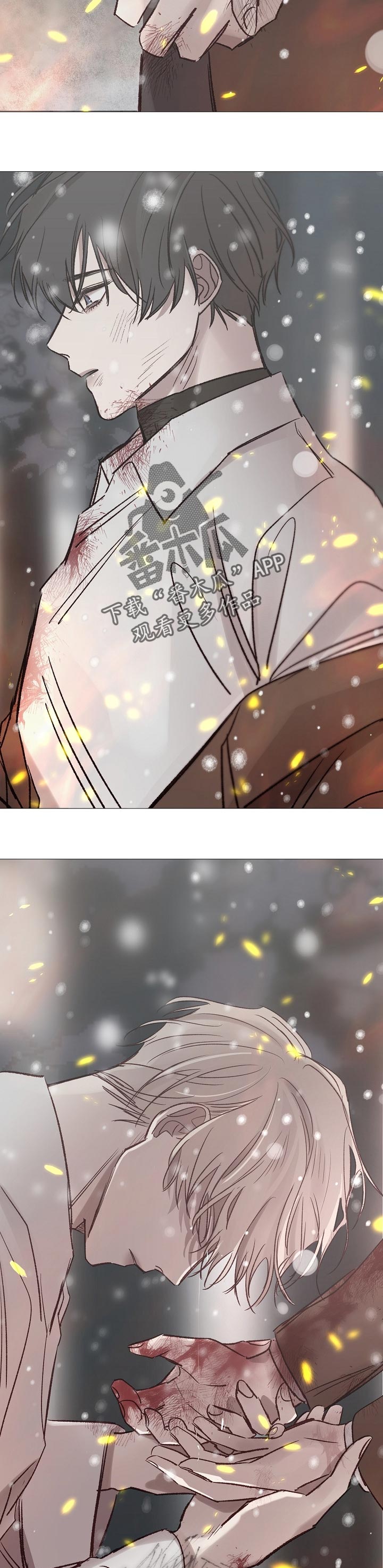 冰凉的火漫画,第186章：不想再后悔了2图