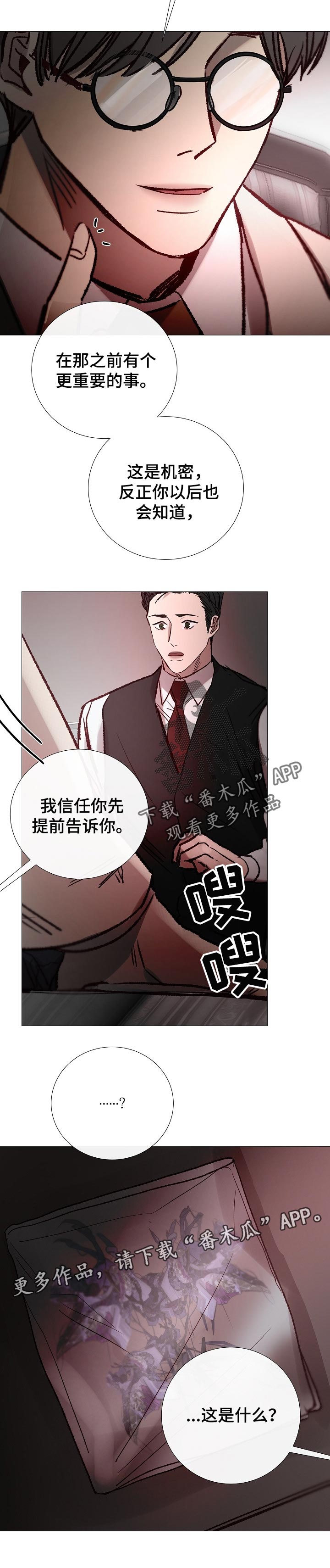 冰凉的居所漫画,第152章：机密5图