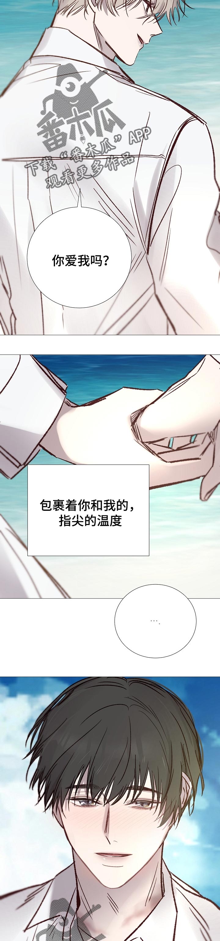 冰凉的居所漫画,第189章：指尖的温度【完结】5图