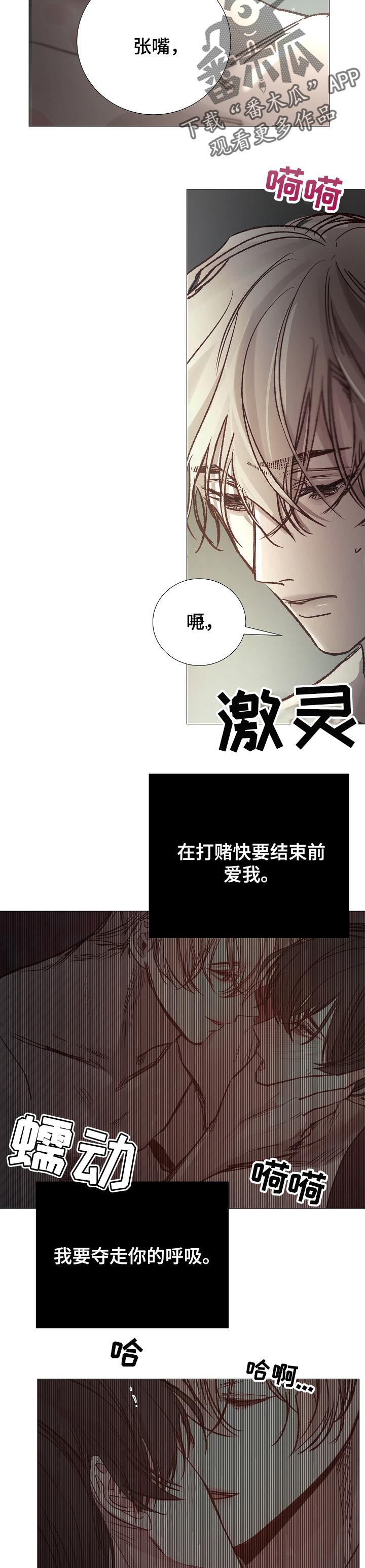 冰凉的居所漫画,第154章：没看见4图