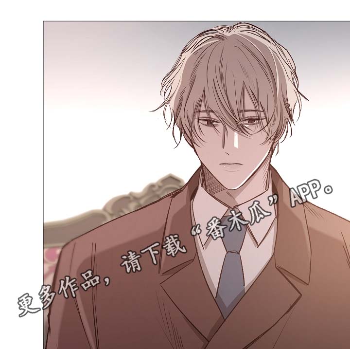 冰凉的凉组词漫画,第79章：很忙4图